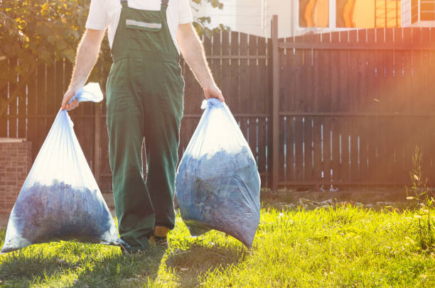 Yard Cleanup Services in Coats, NC